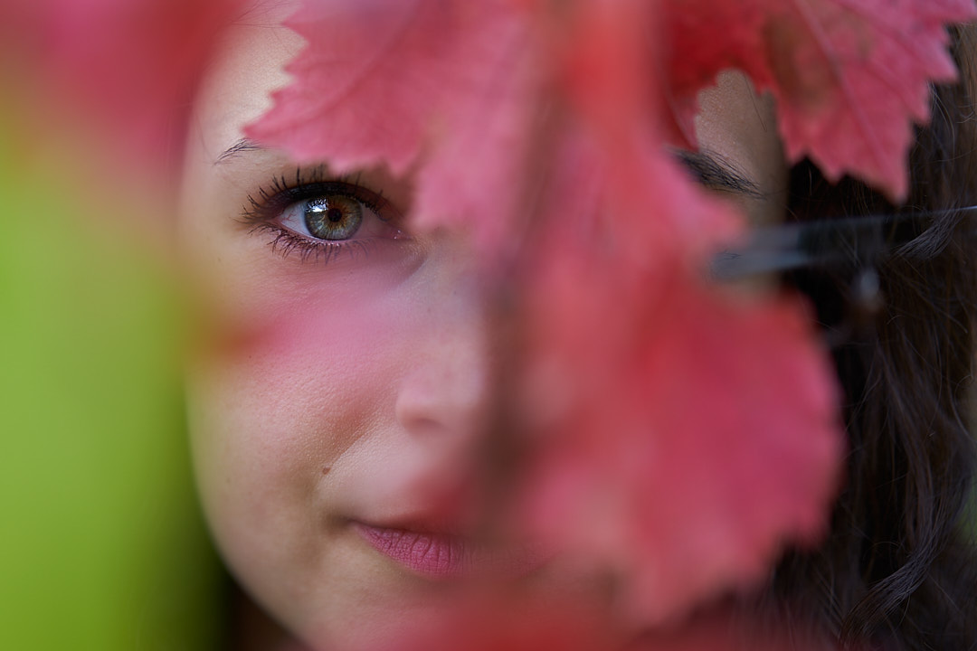 Herbstlicher Wein in Regen und Sonne